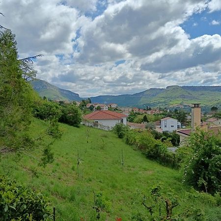 Gite Des Grands Causses Villa Millau Exterior photo